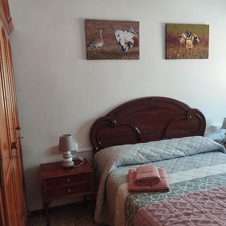 Apartamento Las Fuentes Sierra de Fuentes Exteriör bild
